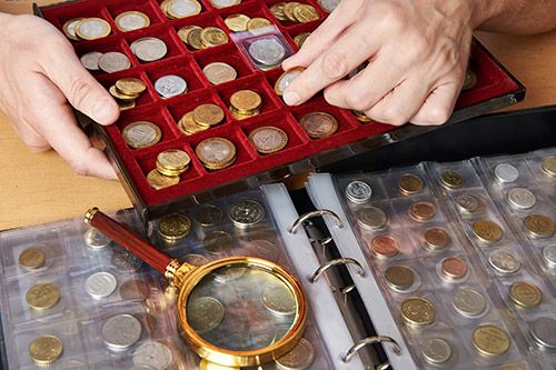 person looking at coins